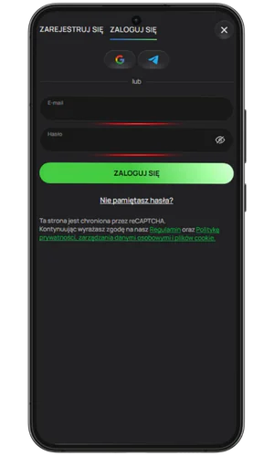 Podaj swój adres e-mail i hasło Flagman